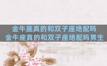 金牛座真的和双子座绝配吗 金牛座真的和双子座绝配吗男生